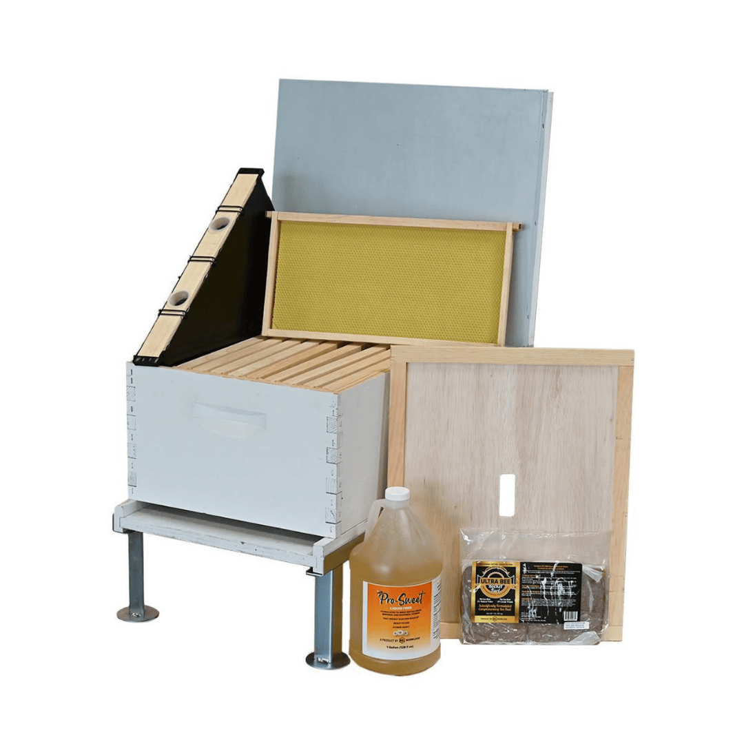 Mann Lake 9 1/8&quot; 10 Frame Complete Beehive Kit Colony Combo