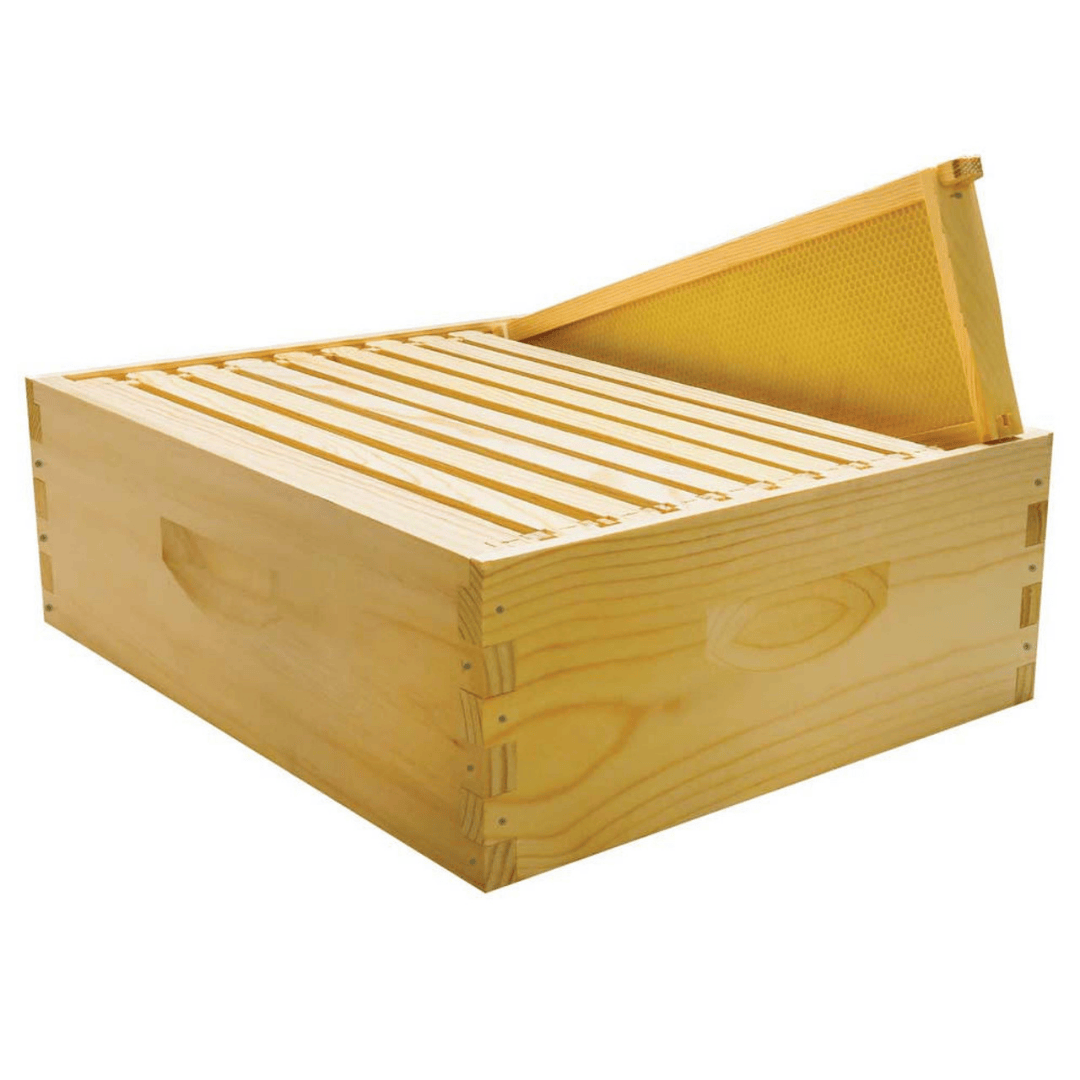 Mann Lake KD105 10 Frame 6 5/8&quot; Unassembled Beehive Kit with Foundation