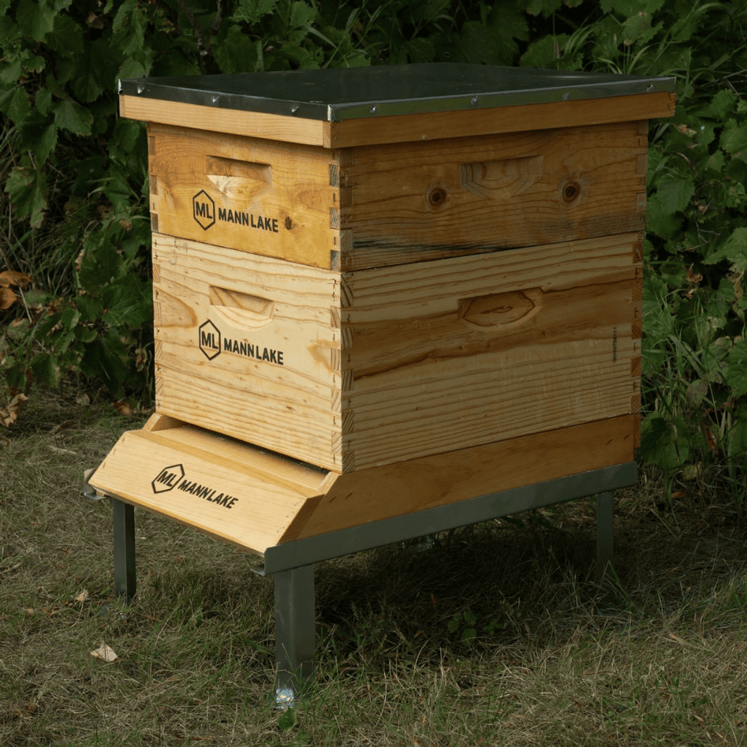 Mann Lake WP160 Premium 10 Frame Wax Dipped Complete Bee Hive Kit outdoors