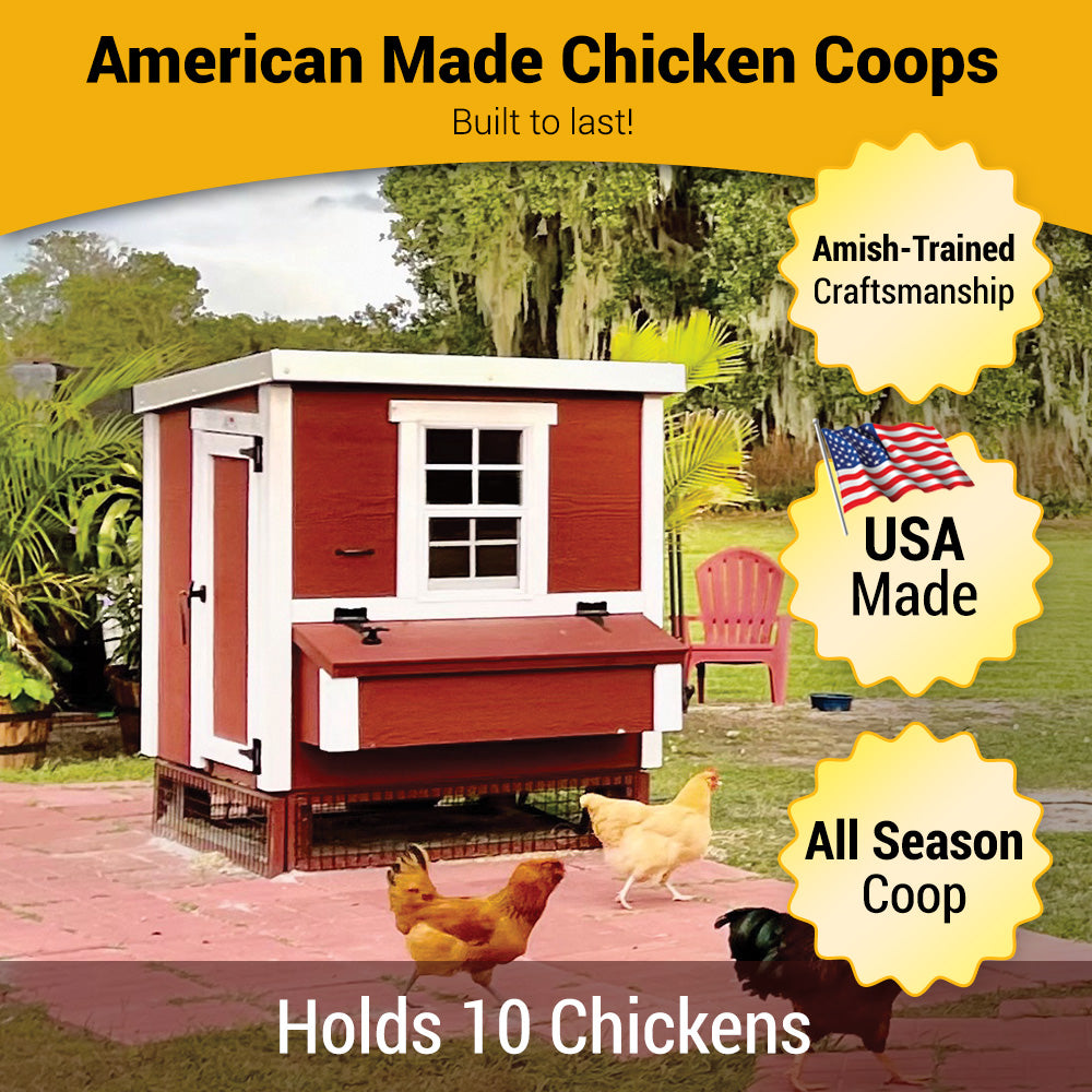 picture of Medium OverEZ Chicken Coop Assembled