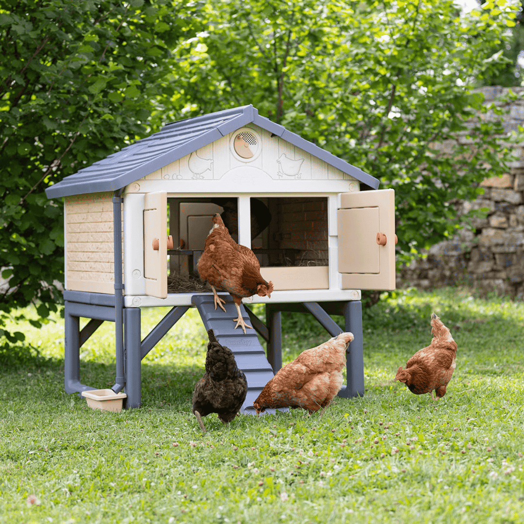 My First Chicken Coop - Stromberg&#39;s Chicken Coop for 5 Chickens with chickens frolicking