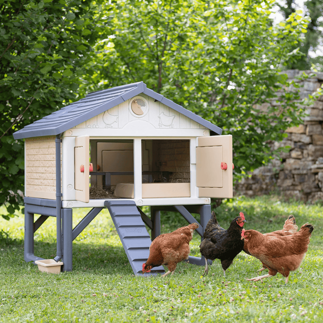 My First Chicken Coop - Stromberg&#39;s Chicken Coop for 5 Chickens with chickens frolicking and bathing