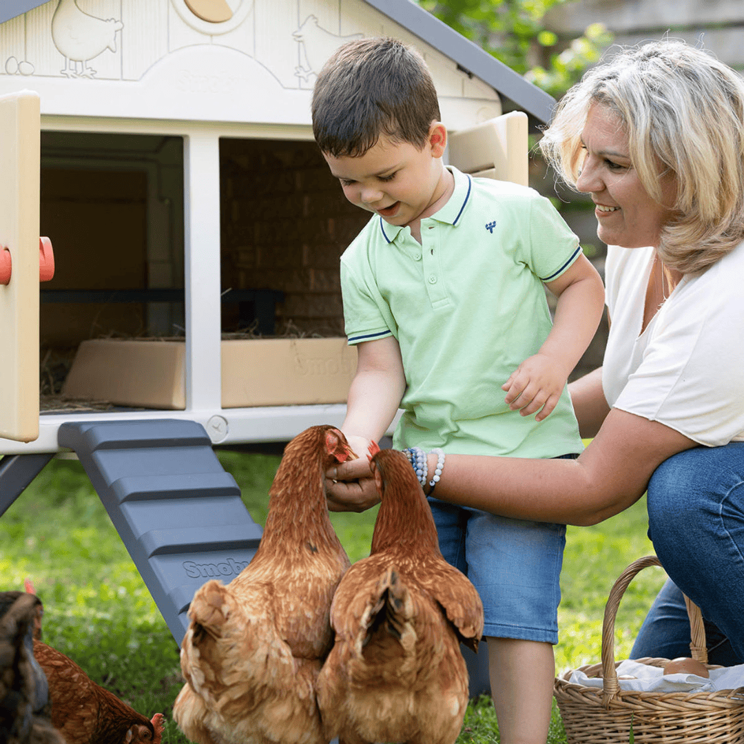 My First Chicken Coop - Stromberg&#39;s Chicken Coop for 5 Chickens with mother and child feeding