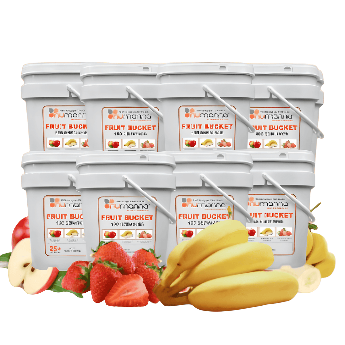 Picture of NuManna Freeze-Dried Fruit Bucket Dozen Pack