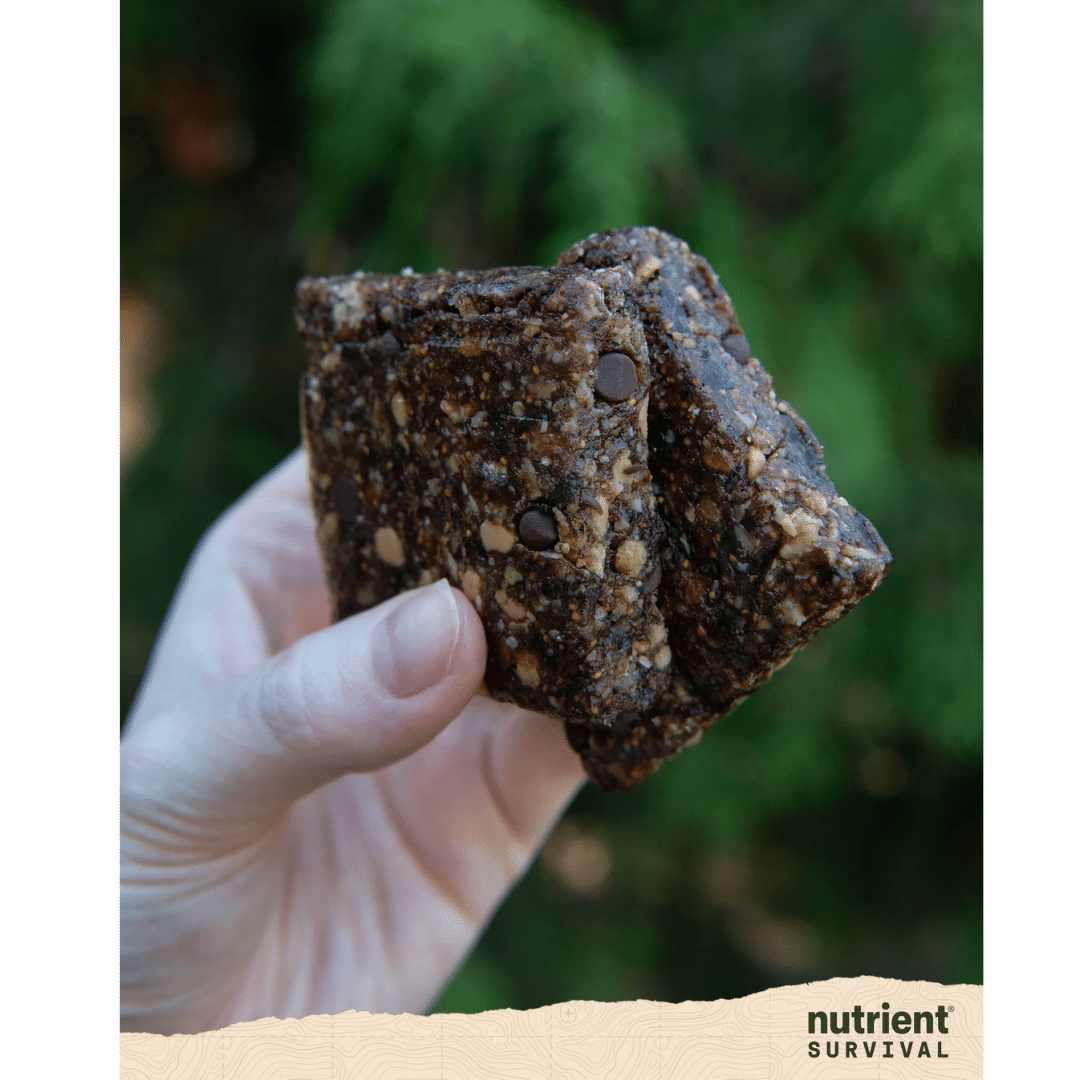 Nutrient Survival - Brain Omega 3 Bar - Fig and Roasted Peanut 