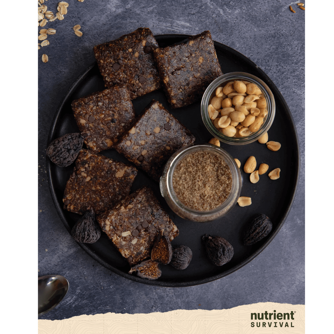 Nutrient Survival - Brain Omega 3 Bar - Fig and Roasted Peanut 