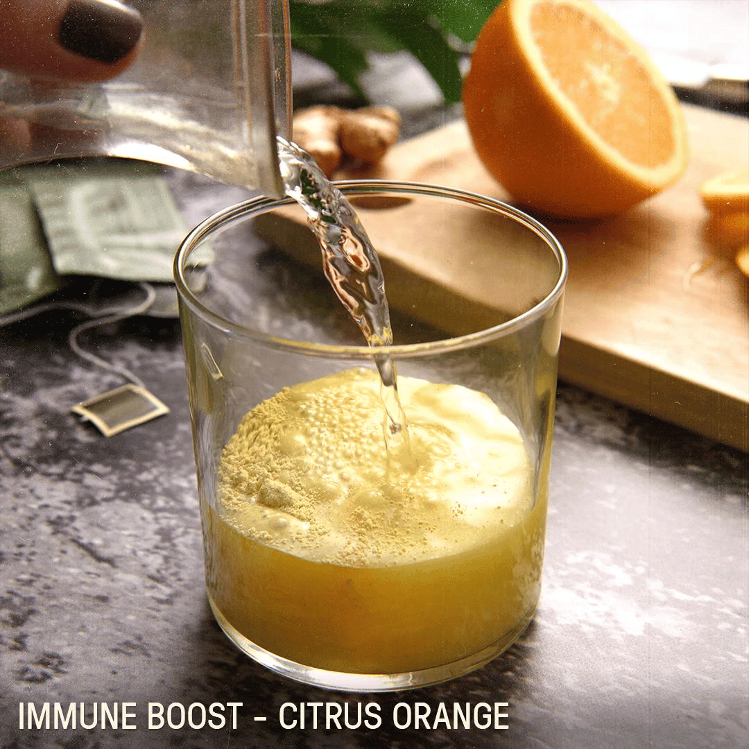 Nutrient Survival - Black Scout Survival 10-Day Emergency Food Supply