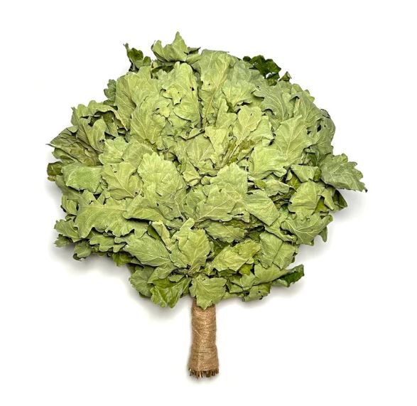 Picture of Oak Venik - Whisk