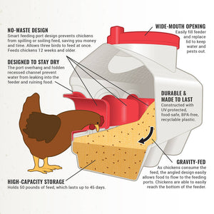 Picture of OverEZ Chicken Classic Feeder Features