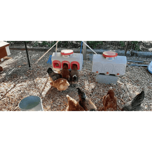 Picture of OverEZ Chicken Classic Waterer Assembled