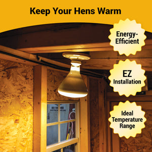 Picture of OverEZ Chicken Coop Electrical Heat Package Features