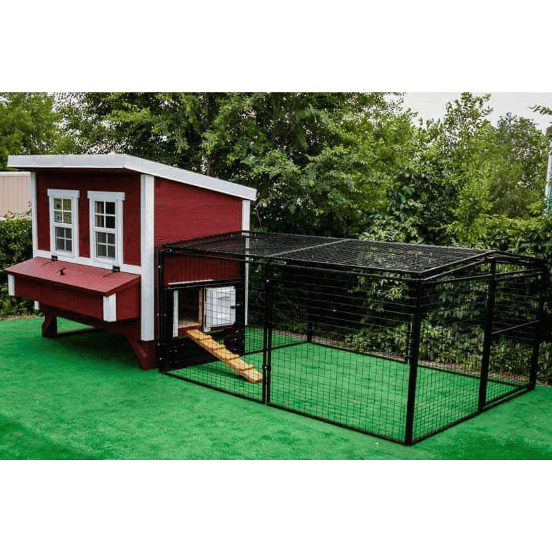 Picture of OverEZ Chicken Run Regular 8ft. assembled