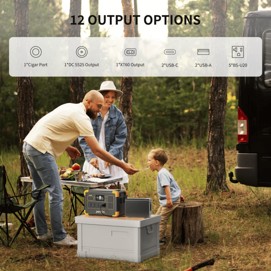 PECRON E1000LFP Multiple Output Ports