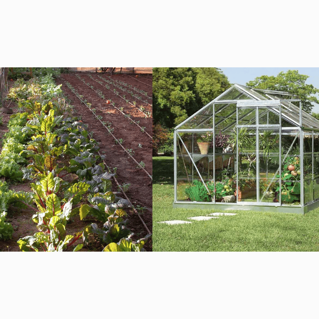 Riverstione Industries GENESIS 48FT Greenhouse Dripper Kit installed