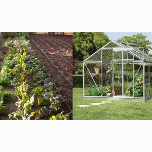 Riverstione Industries GENESIS 48FT Greenhouse Dripper Kit installed