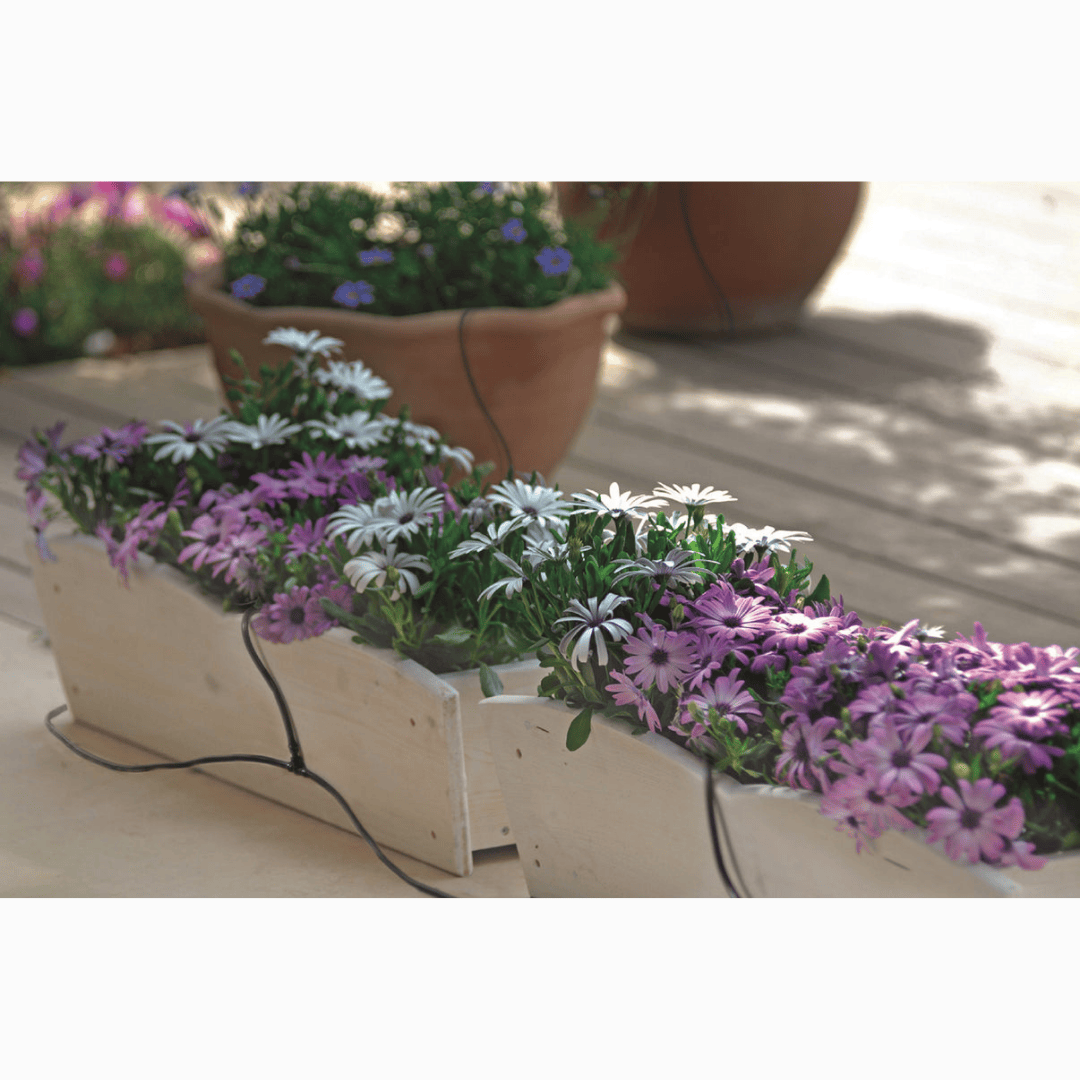 Riverstione Industries GENESIS Dripper Watering Kit - Drip Irrigation Kit installed in potted plants