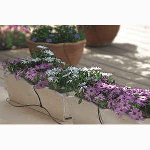 Riverstione Industries GENESIS Dripper Watering Kit - Drip Irrigation Kit installed in potted plants