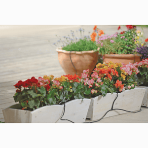 Riverstione Industries GENESIS Dripper Watering Kit - Drip Irrigation Kit with potted plants