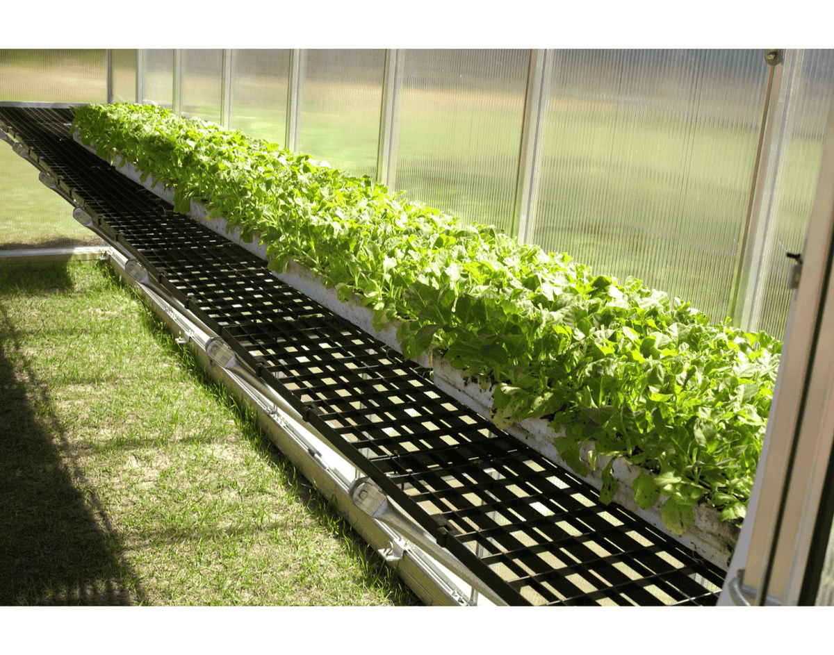 Riverstone MONT Greenhouse Work Bench with plants