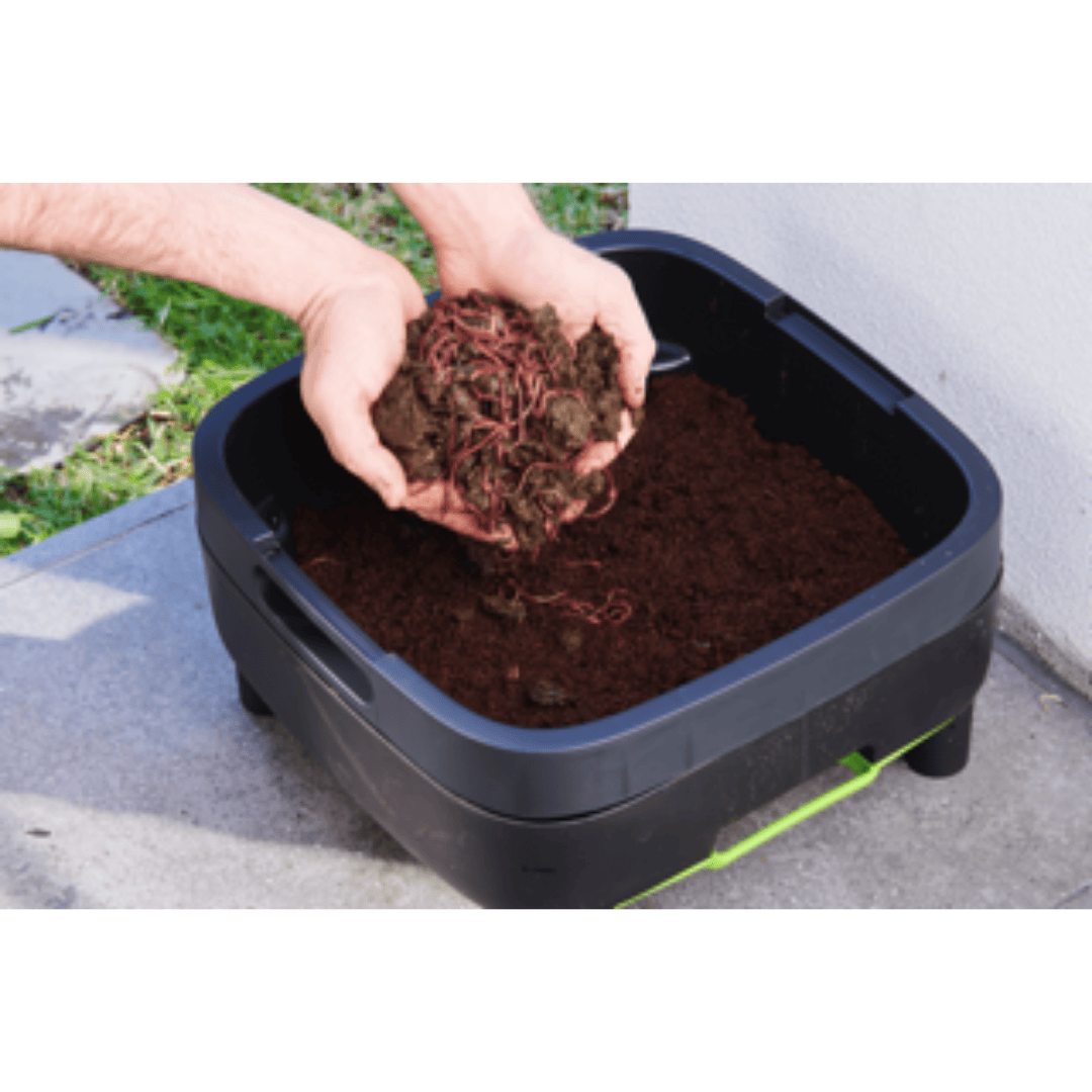 Riverstone Maze Worm Farm with man holding worms