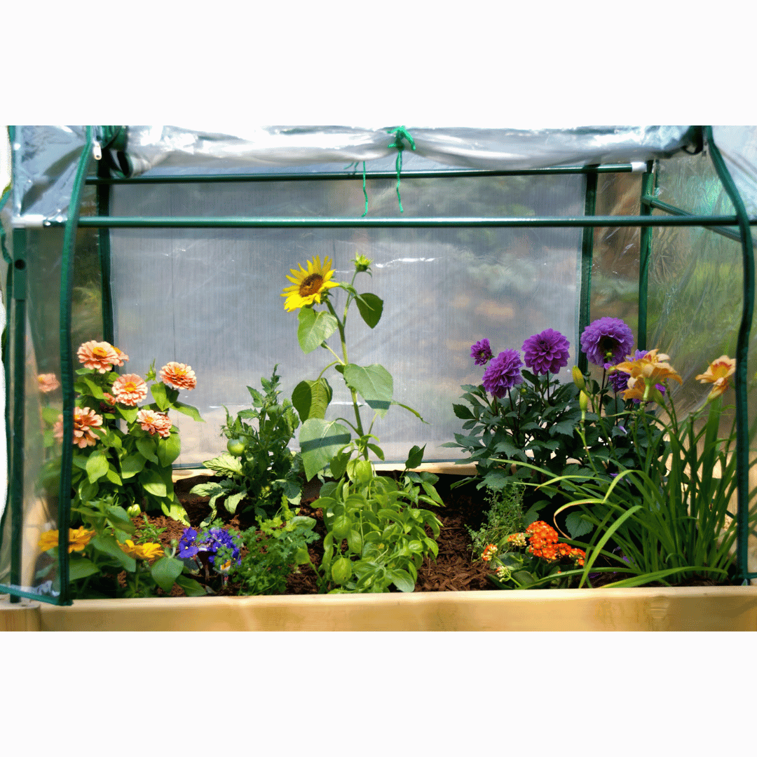 Riverstone Raised Garden Bed Enclosure with Flowers