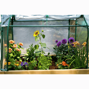 Riverstone Raised Garden Bed Enclosure with Flowers