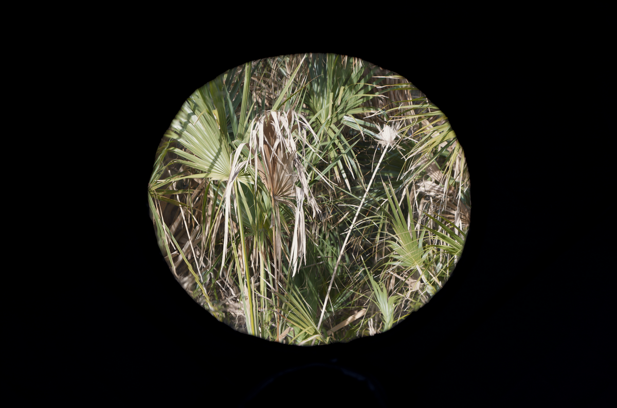 Dome Sauna Tent (8-person; tent only)