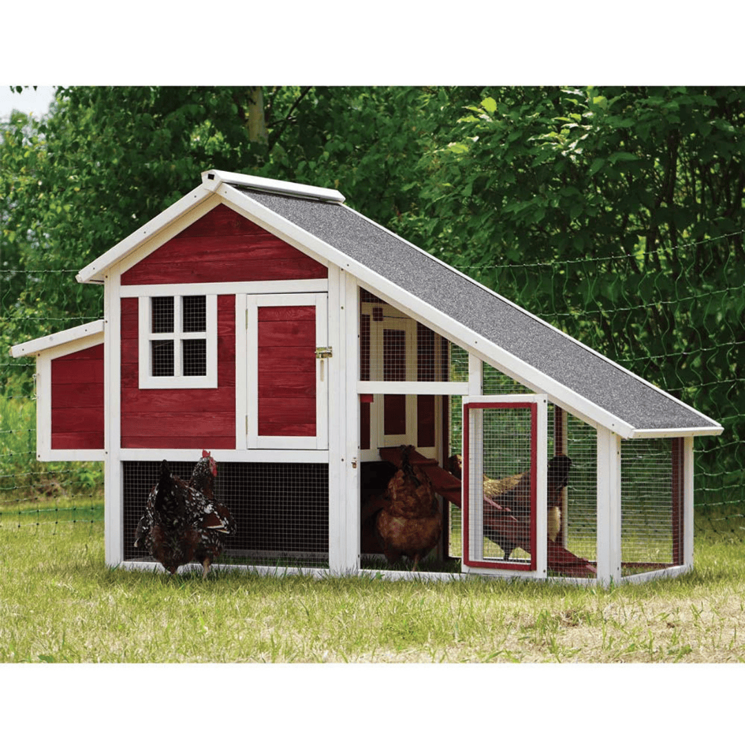 The Egg Hut - Stromberg&#39;s Chicken Coop with Run with chickens inside run