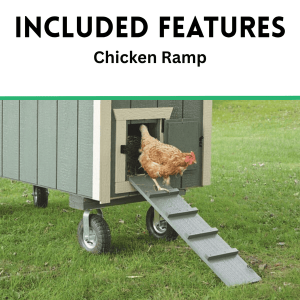 The_Hen_House_Collection_Chick