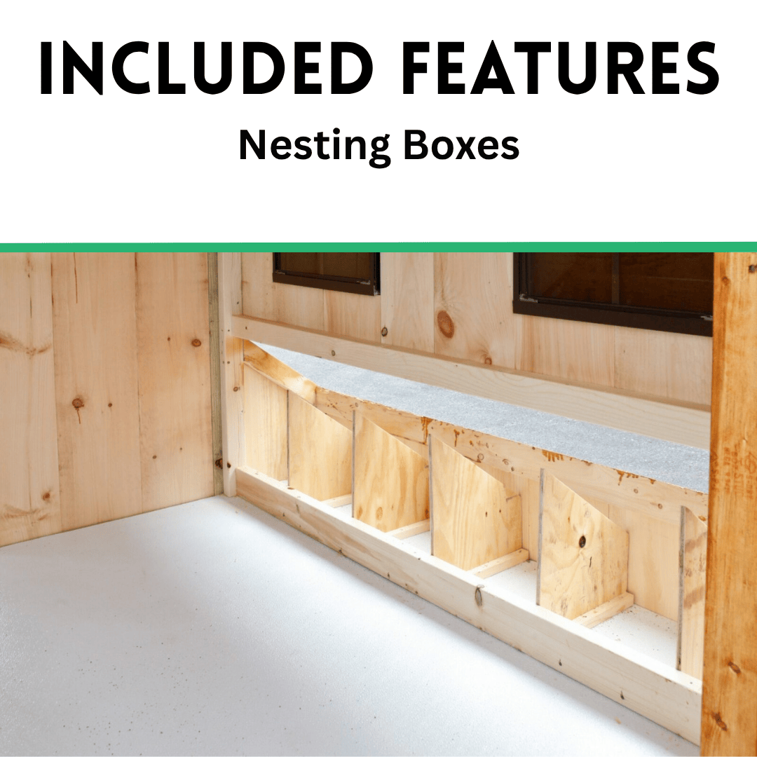 The Hen House Collection Included Nesting Boxes