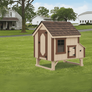 The hen house collection a44 A-frame 4x4 chicken coop back view