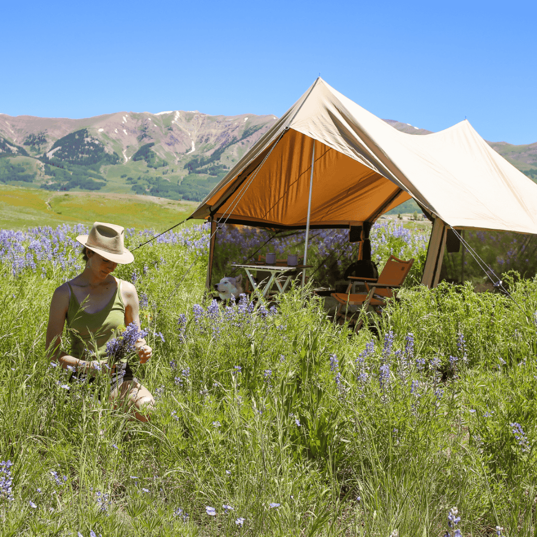 White Duck Outdoors Rover Scout Tent placed in flower field
