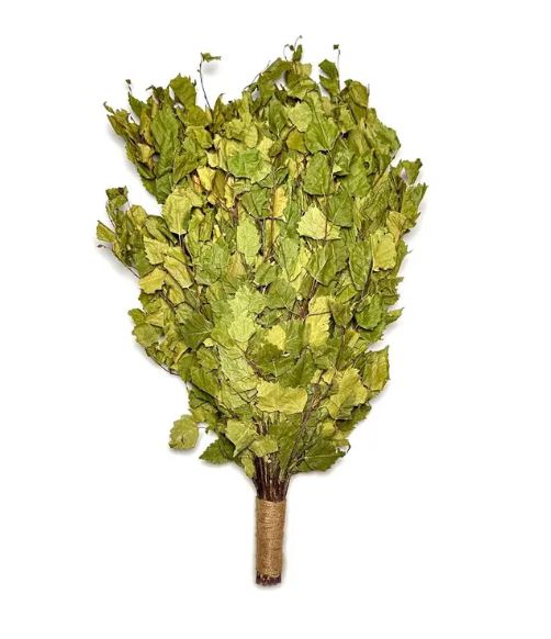 Picture of Birch Venik - Whisk