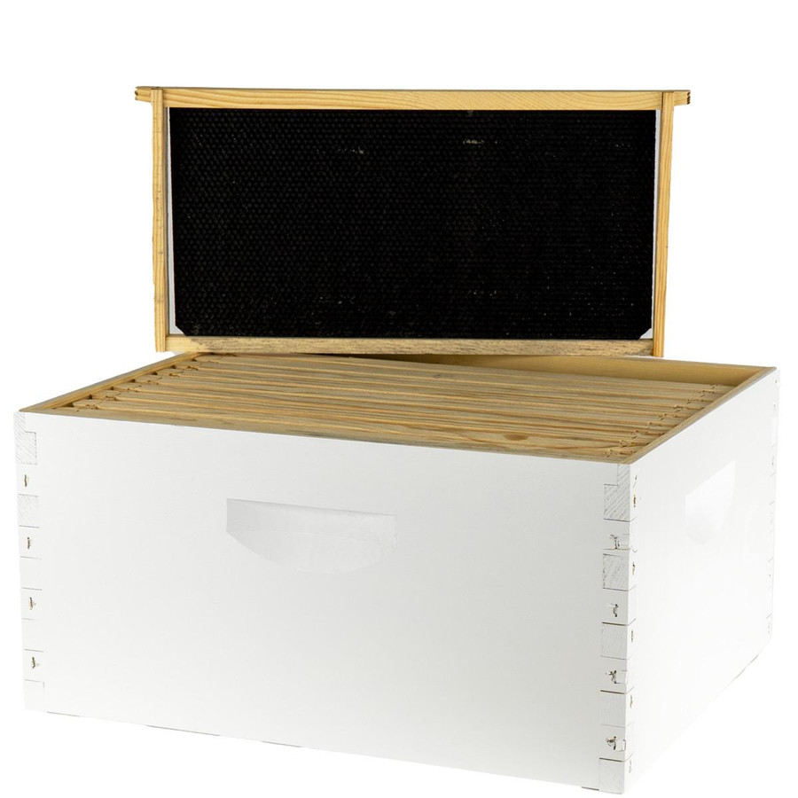 Front view of Mann Lake Assembled Deep Hive Kit with Plastic Wax Coated Foundation Assembled Frames