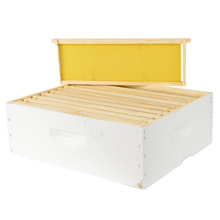 Side view of mann lake Assembled Super Kit with Assembled Frames and Waxed Plastic Foundation Frame