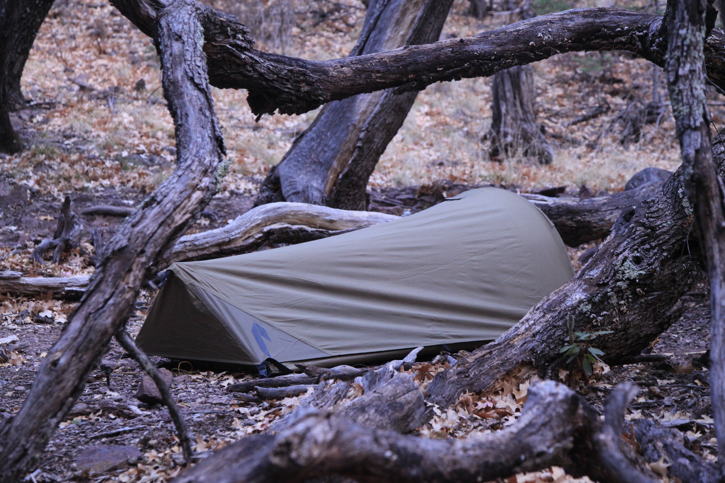 catoma badger tent Catoma Raider