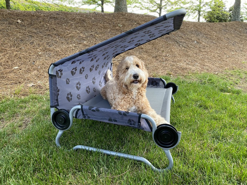 Picture of Disc-O-Bed Dog Bed with a Dog lying on it.