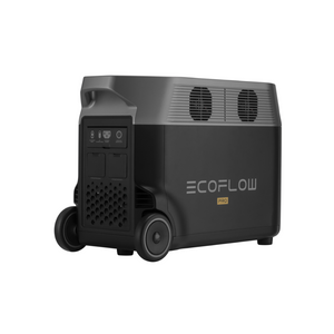 EcoFlow DELTA Pro + 2x 160W Portable Battery Generator