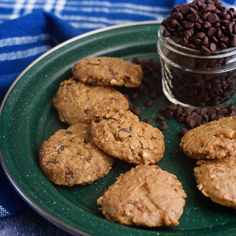 Nutrient Survival - Chocolate Chip Cammie Cookie Can - Pack of Three