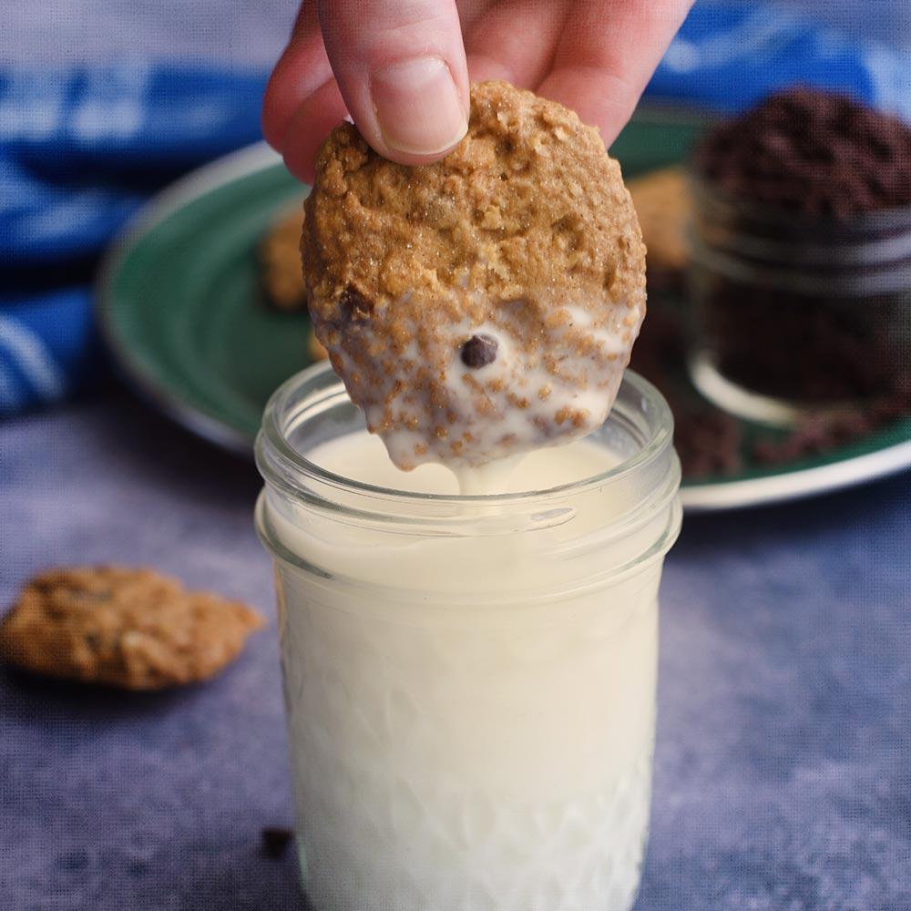 Nutrient Survival - Chocolate Chip Cammie Cookie Can - Pack of Three