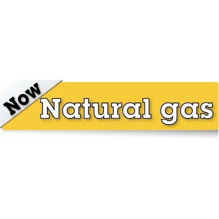 Martin - MDV12N Natural Gas Direct Vent Thermostatic Heater 11,000 Btu -  Wild Oak Trail