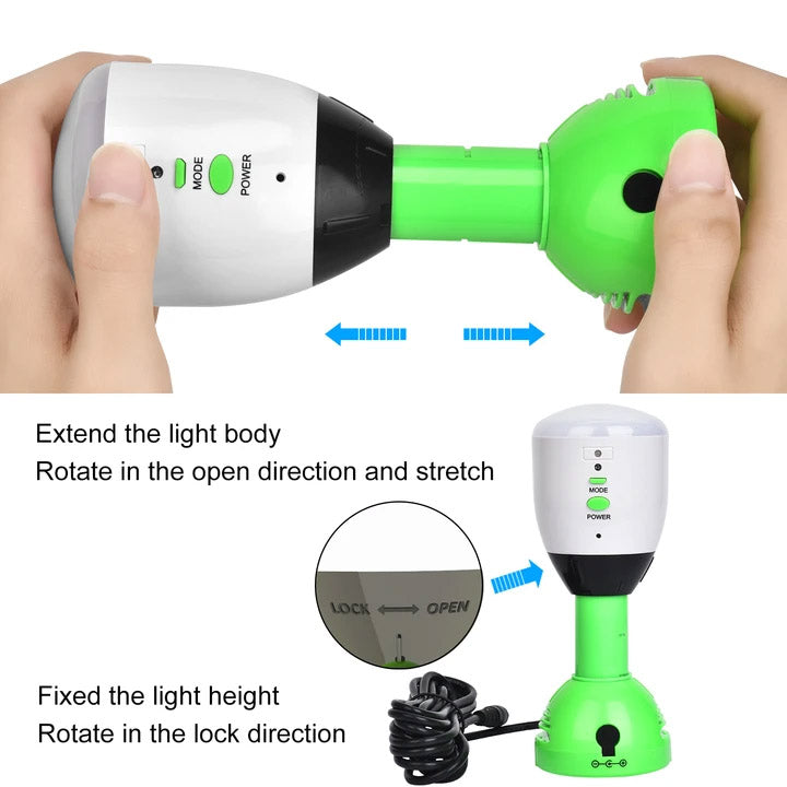 Nature&#39;s Generator-Nature&#39;s Generator Power Light