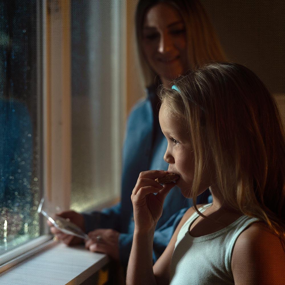 Nutrient Survival- Oatmeal Raisin Cookie Meals