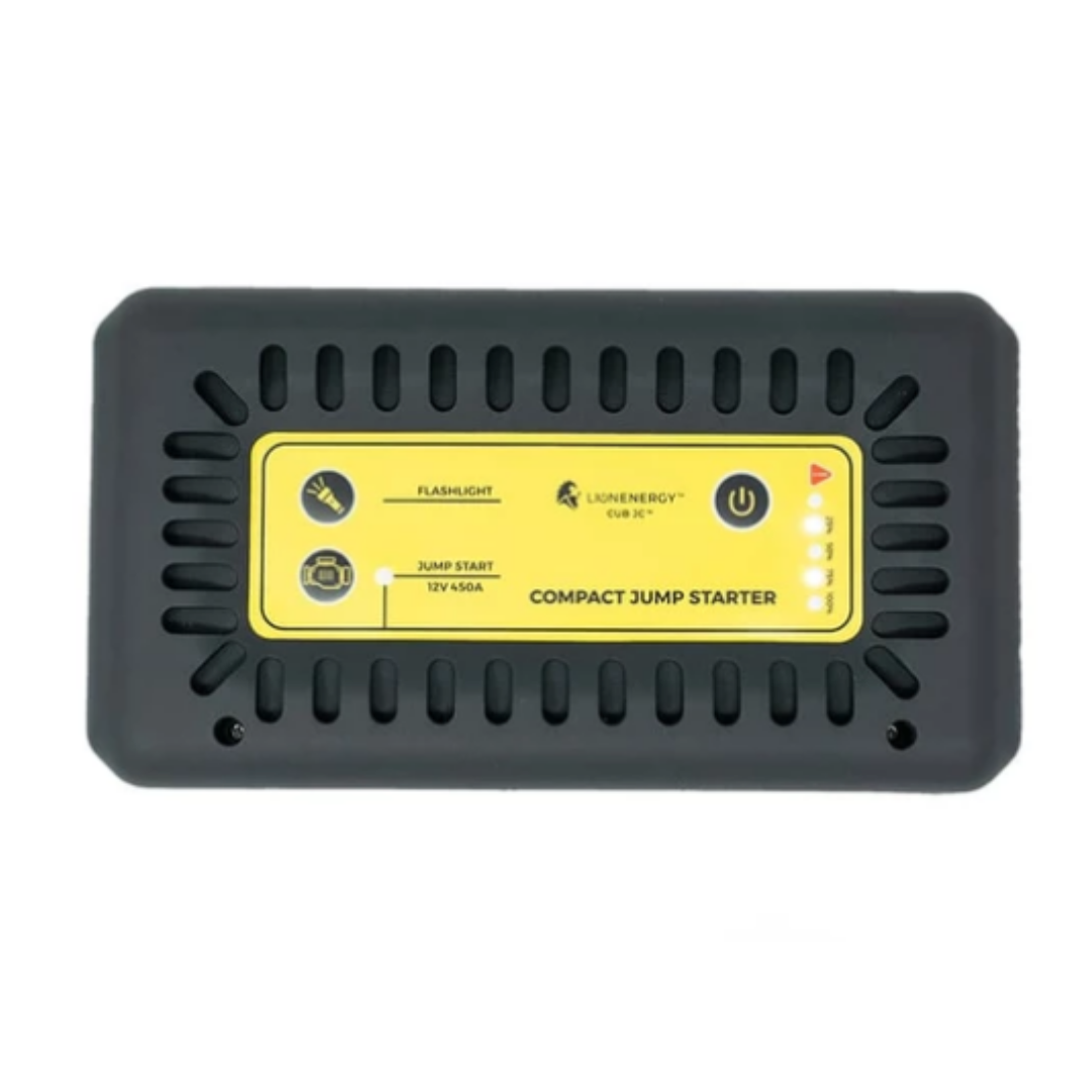 Picture of Lion Energy - Lion Cub JC