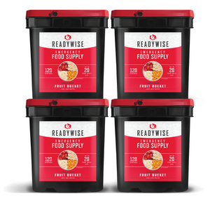 ReadyWise Emergency Food Supply - 480 Serving Freeze Dried Fruit Bucket