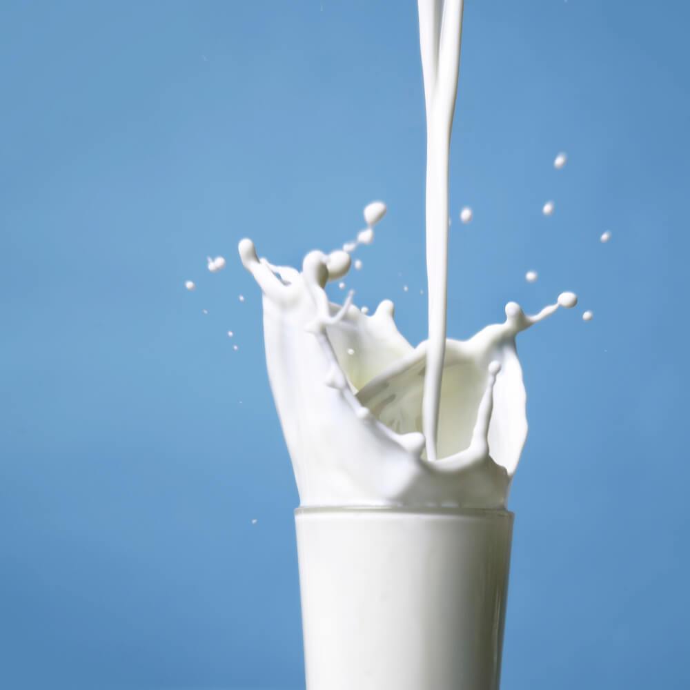 Wise Food Storage - Prepper Pack (52 Servings)